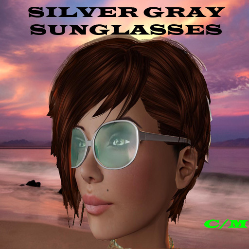 Sun Glasses SILVER GRAY