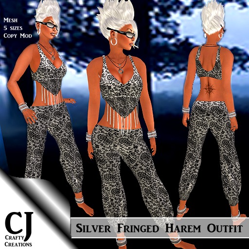 Silver Fringed Harem Outfit