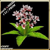 LW- Ground Crocus Flower - White Red (1 LI / Prim)