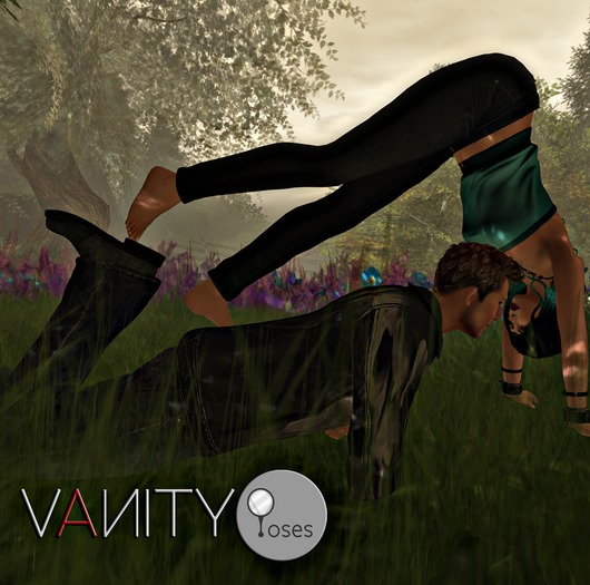 Vanity Poses - Wonky
