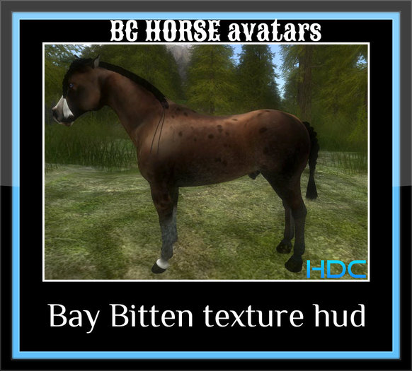 HDC-Bay Bitten  Texture Pack(boxed)