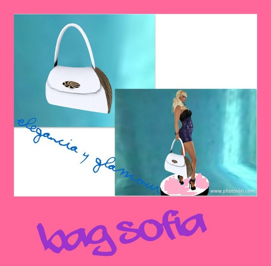 BOLSO DE MANO 1 whyte