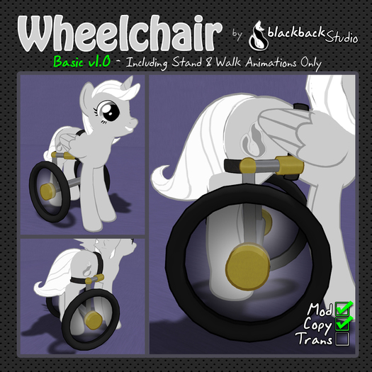 [bbS] Pony Wheelchair