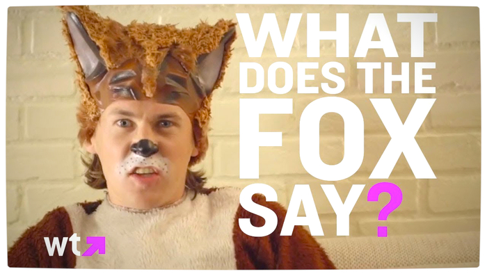 *~Fox Says "Yuffyuffyuff" Typer~*