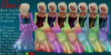 *Dani's* Mesh Leather & Lace Dress w/ Corset Floral