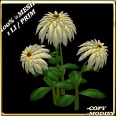 LW_ Mesh Dahlias Version 2 - White (1 LI / Prim)