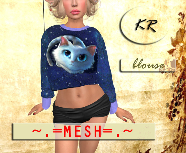 KR.^.@Cat@.^.KR: sweater