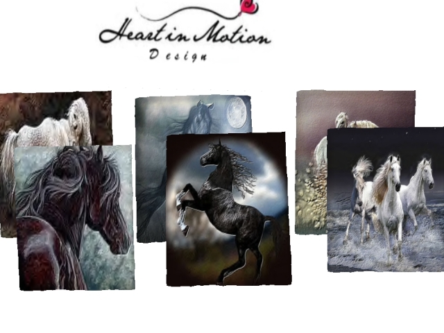 HiMD- Multi Texture Horse (boxed)