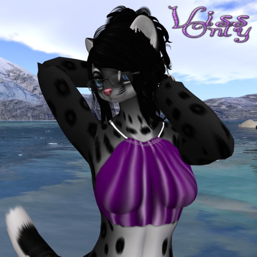 Roman Halter Purple V.1 ((Bagged))