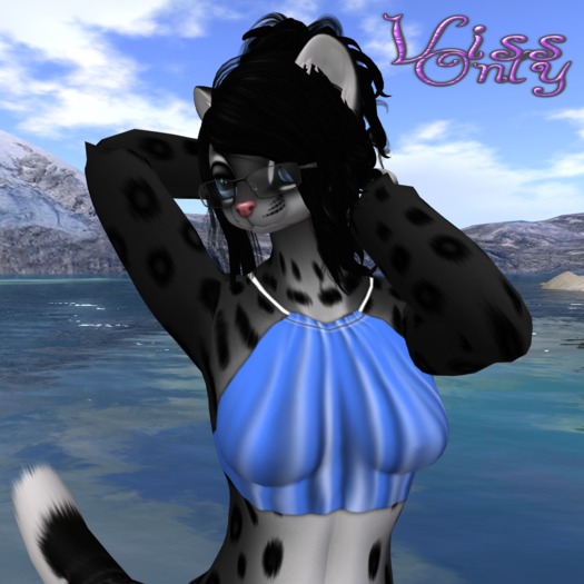 Roman Halter Blue V.1 ((Bagged))