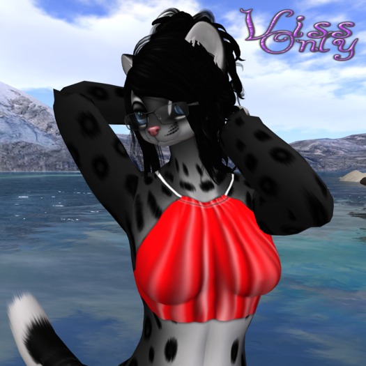 Roman Halter Red V.1 ((Bagged))