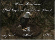 ~*SR*~ Bald Eagle with Nest and Sound on/off Box