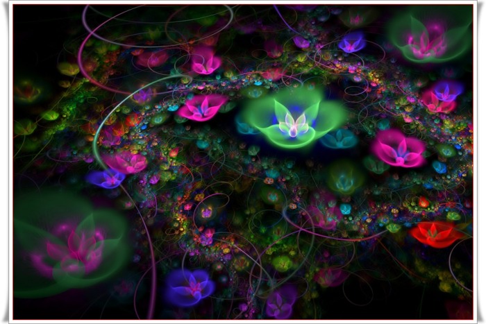 lotus flower