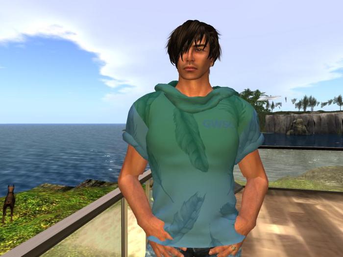 MESH Hooded Sailing Tee Green/Blue (One of our Sailing Wear and Beach Wear Items)