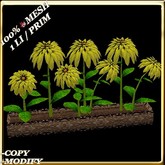 LW_ Mesh Dahlias Planter - Yellow Black (1 LI / Prim)