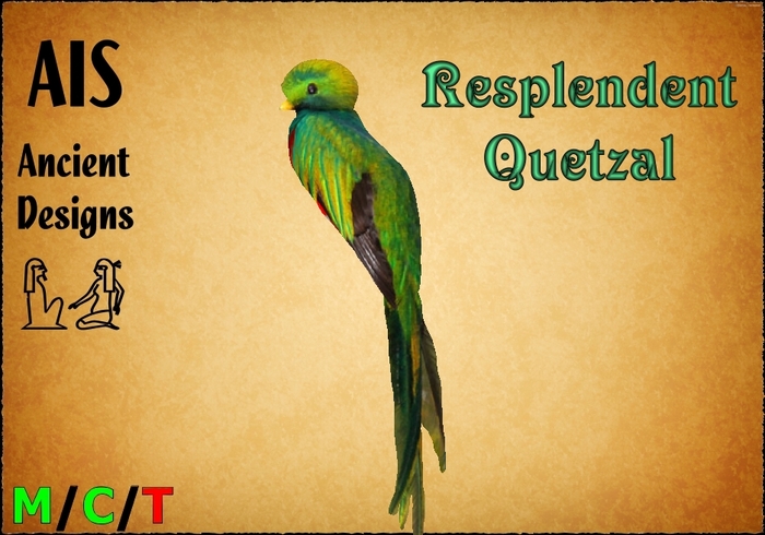 Resplendend Quetzal (Pharomachrus mocinno)