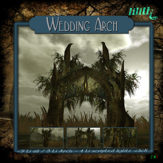 LD Midsummernights Wedding Ceremony Arch