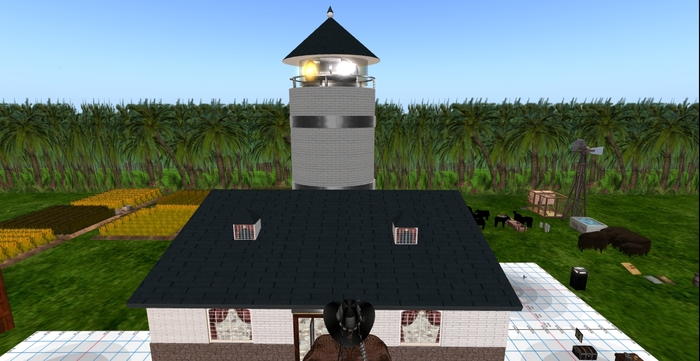 Lights House with lreal light 81rims