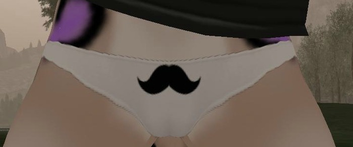 Mustache Panty Texture Mod -Boxed-