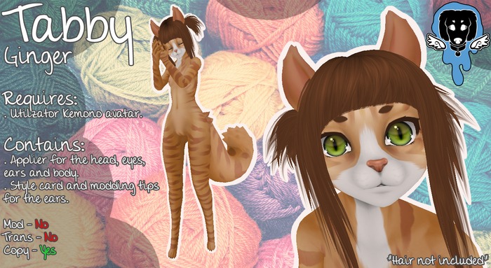 W.w.W - Ginger Tabby Boxed