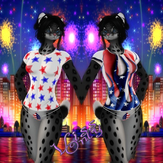 4Th Of July Shirts ((BAGGED))