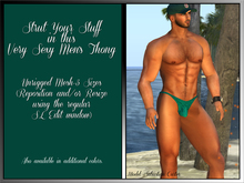 Men's Sexy Thong/Speedo-Teal (Unrigged Mesh)