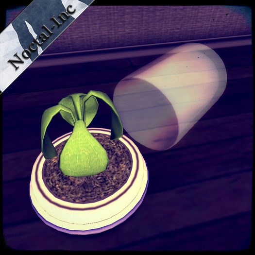 +[Noctali] Capsule Plant