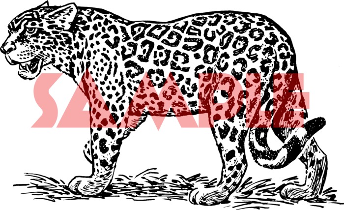 Leopard - Wall decor by Word UP!
