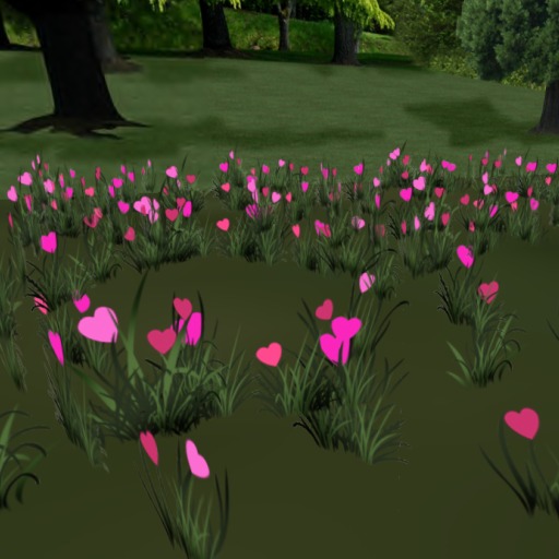 Multicolor Valentine Flower Field