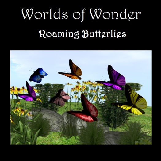 W!F Roaming Butterfly Sales Box (Copy Only)