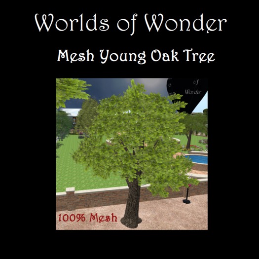 WoW Young Oak - Vendor