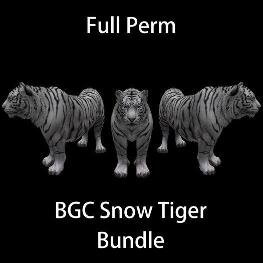 BGC Snow Tiger - Bundle
