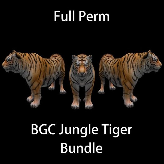 BGC Jungle Tiger - Bundle