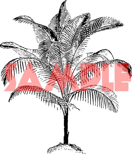 love conquers wall decor by Word UP!