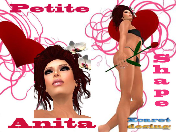 Anita Shape NV