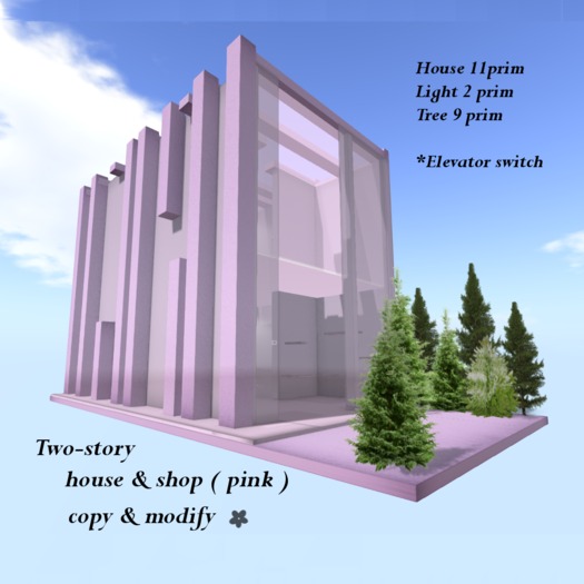 Two-story house & shop ( pink ) Box