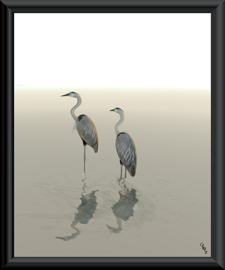 Herons (framed)