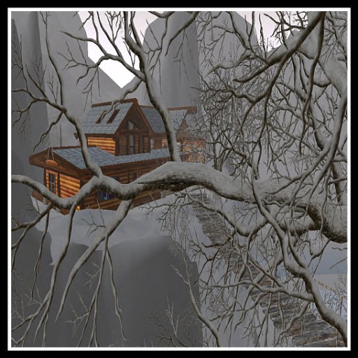 home through the trees