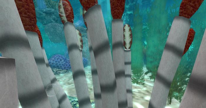 Tube Worms