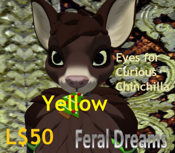 *Feral Dreams* Yellow Eyes