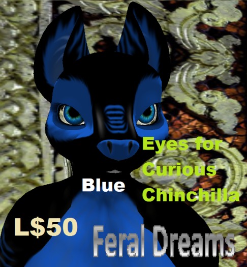 *Feral Dreams* Blue Eyes