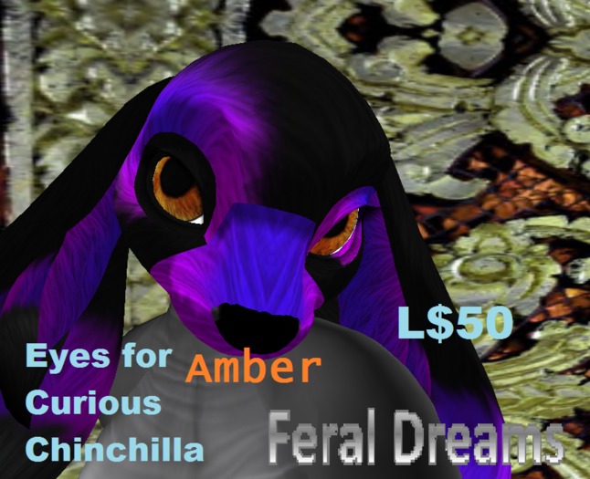*Feral Dreams* Amber Eyes