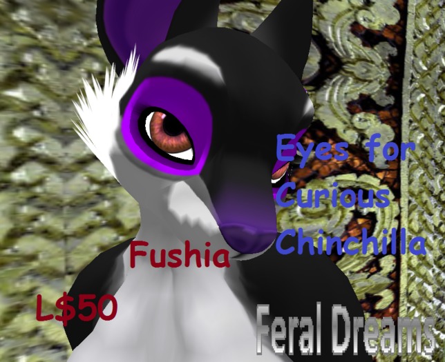 *Feral Dreams* Fushia Eyes