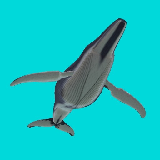 Humpback Whale (5 prims)