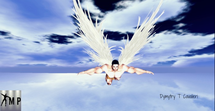 Male Poses - Fly Wings 4