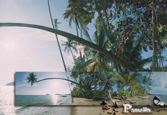 Seamless Panorama Tropical Landscape