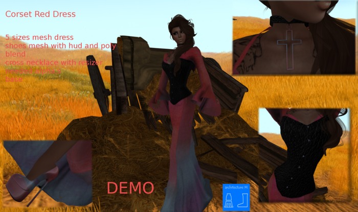 ..DEMO..Corset Dress  