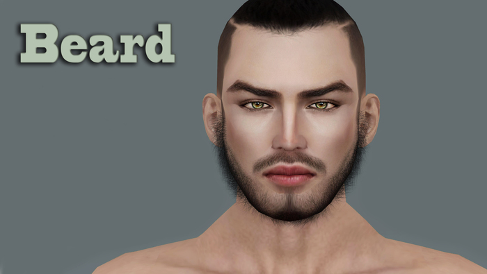 Human Beard (Facial Hair )