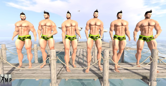 Male Poses - Julios  box