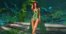 Monet Lace Lingerie Set Green Boxed